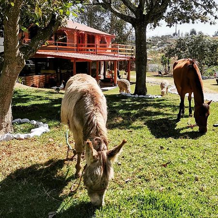 La Granja De Papa Alberto Puembo Esterno foto